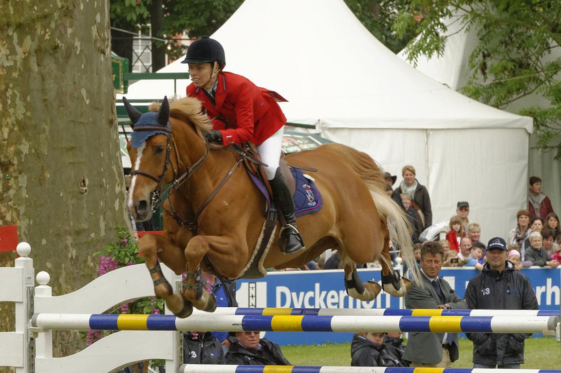 Rhénan sang chaud alezan monté en saut d'obstacles à l′Internationales Pfingstturnier Wiesbaden de 2013 - CC BY-SA 3.0 - Michael Kramer 