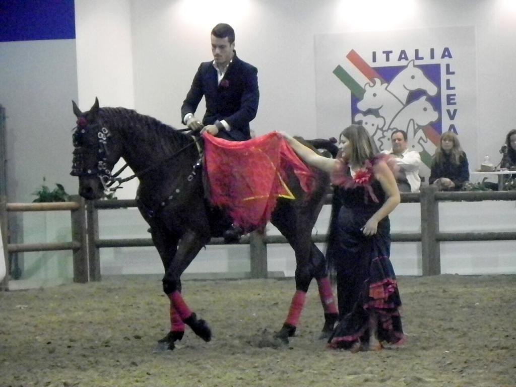 Salernitano pendant la Fieracavalli de 2014. - CC BY-SA 3.0 - Justlettersandnumbers