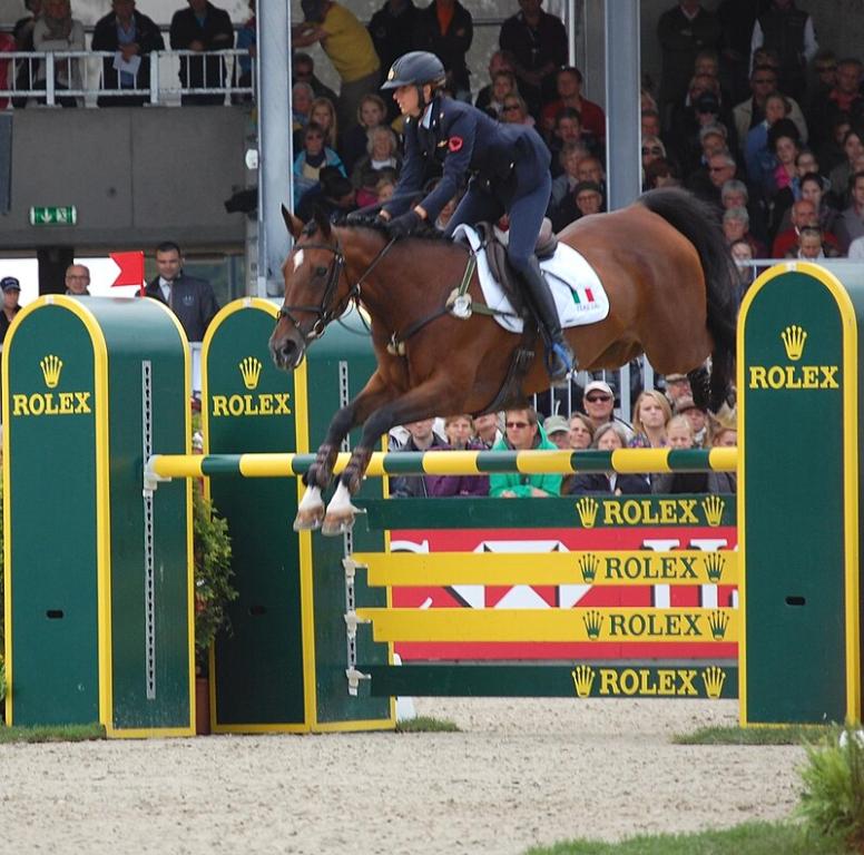 Lalia della Nave, jument selle italien, montée par Luisa Palli lors du Championnat d'Europe de Concours Complet à Luhmühlen en 2011. - CC BY-SA 3.0 - Steinfurth (Nordlicht8) 