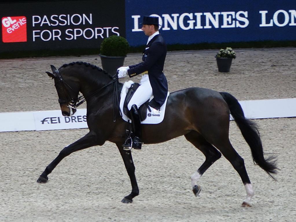 Selle Suédois - Svenskt Varmblod Patrik Kittel et Deja à la Coupe du Monde de dressage à Paris en 2018  - CC BY-SA 4.0 -  Eponimm 