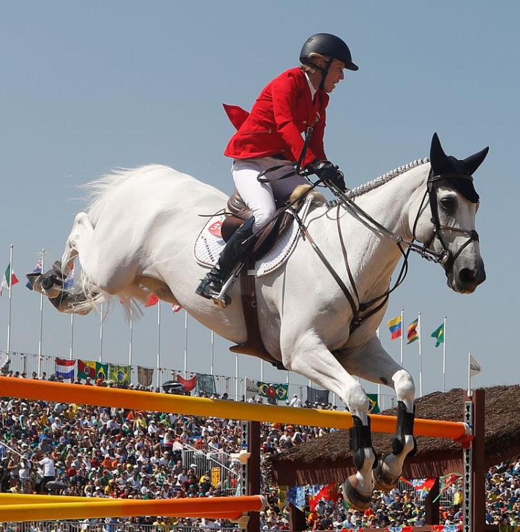 La jument Selle suédois Fibonacci aux jeux olympiques d'été de 2016 à Rio de Janeiro. - CC BY 3.0 br - Fernando Frazão/Agência Brasil  - 