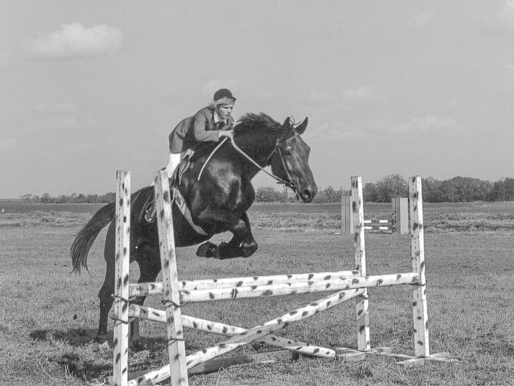Possible Selle ukrainien à Zaporijjia, en Ukraine en 1988. - CC BY-SA 4.0 - Star61 