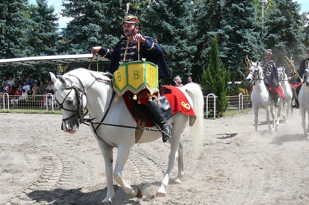 Présentation traditionnelle de chevaux shagya au haras de Bábolna, en Hongrie. - CC BY-SA 3.0 - Photo : Véronique Mestre Gibaud