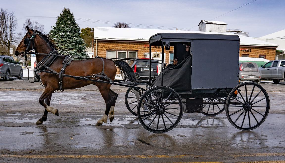  Cheval standardbred tirant une calèche Amish - CC BY-SA 2.0 - Photo : Joseph Gage - Cheval et calèche Amish par temps froid