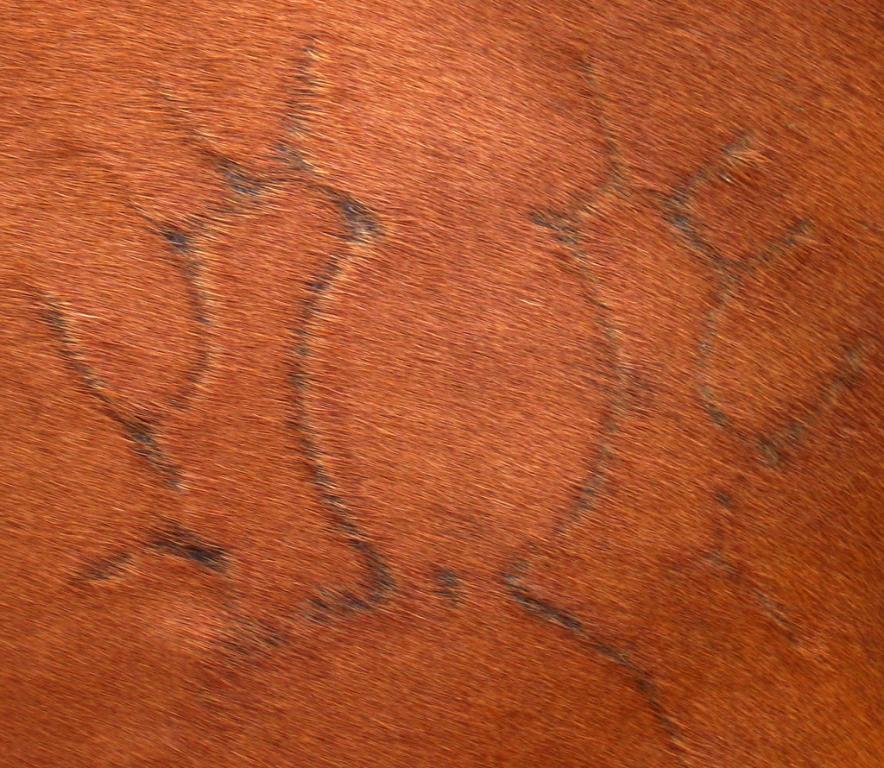 Marque du Trakehner -CC BY-SA 2.5 - Alexander Kastler 