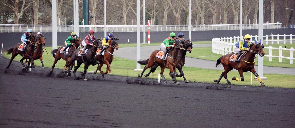 Course de trot monté à l'hippodrome de Vincennes. - Photo : Myrabella / Wikimedia Commons