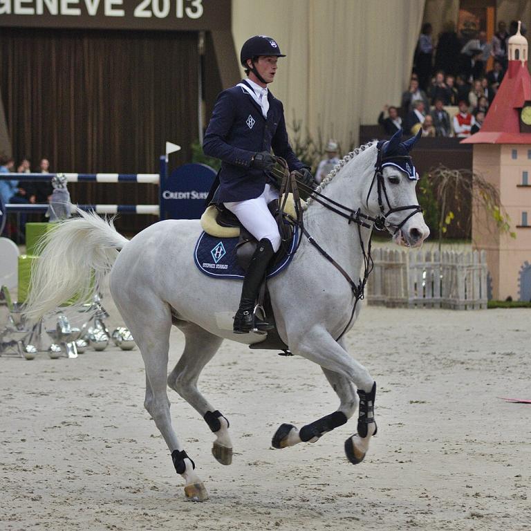 Daniel Deußer et Cornet d'Amour au CHI de Genève de 2013. - CC BY-SA 3.0 - Clément Bucco-Lechat 