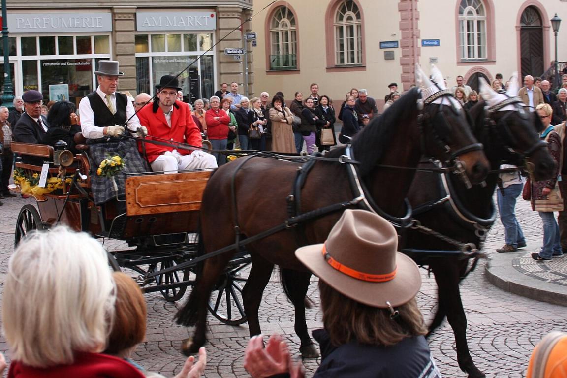 Attelage de Wielkopolski en Hesse, en Allemagne, en 2013. - CC BY-SA 3.0 - Oliver Abels (SBT)