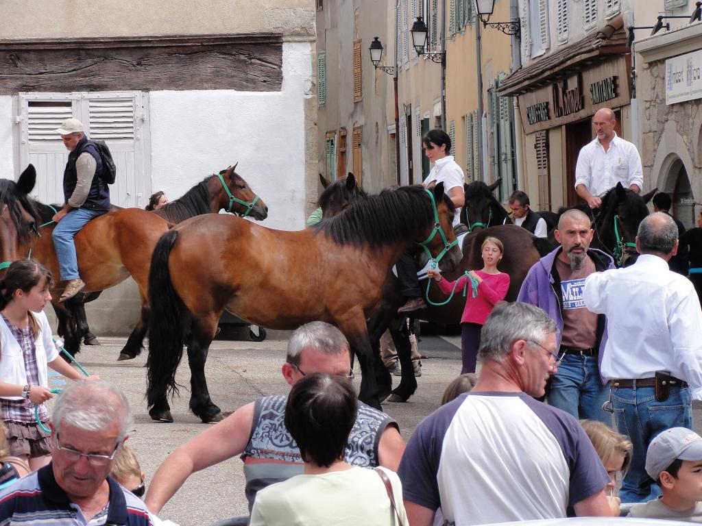 Presentation of Auvergne horses in Ambert in 2011. - CC BY-SA 4.0 - Maure jean