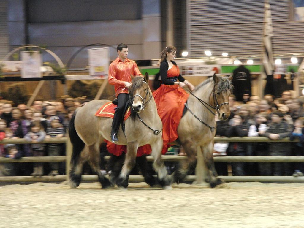 Two Auxois horses at the Paris International Agricultural Show in 2011. - Photo: Eponimm