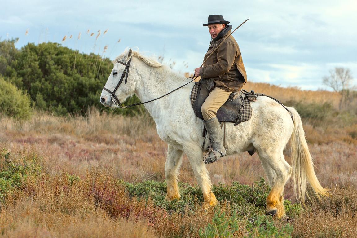 A Camargue horse ridden by a herdsman. - Photo: Benjamin Smith