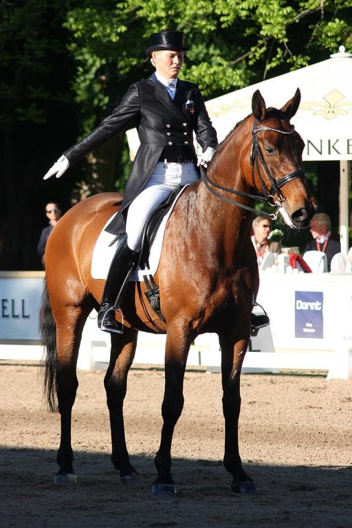 Fitou L, a Danish warmblood, ridden by Bang Larsen in a dressage competition. - CC BY-SA 3.0 - Oliver Abels (SBT)