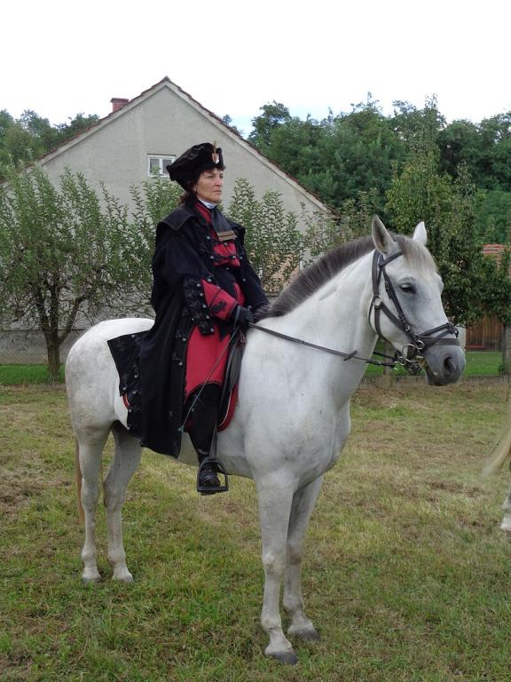  Reenactment of a 16th-century Croatian cavalry unit, with a grey Gidran. - CC BY-SA 4.0 - Silverije