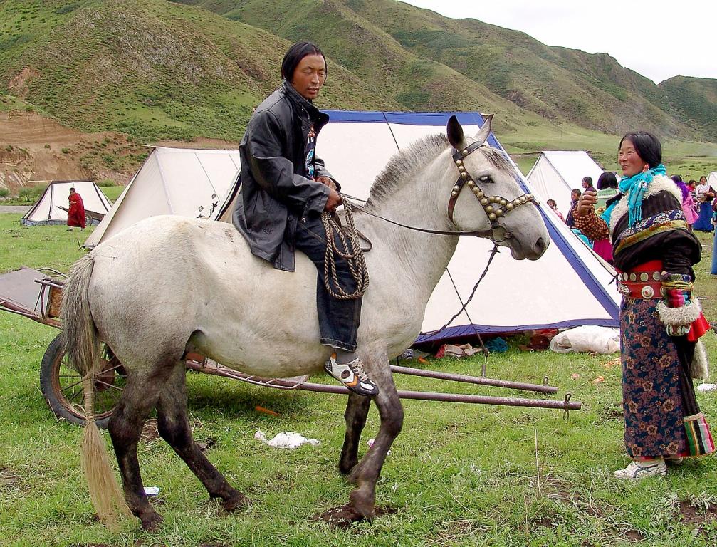  A Tibetan nomad and his Jiaoke-type Hequ horse in Gansu, China. - CC BY 2.0 - gill_penney