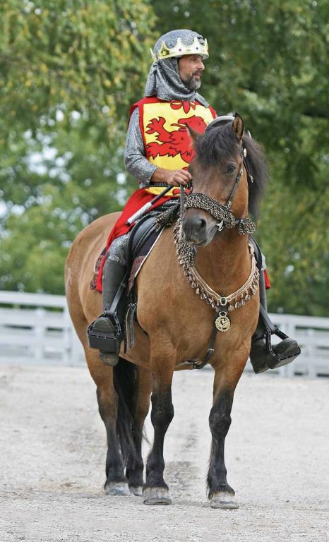 Highland pony ridden in medieval costume - CC BY 2.0 - Heather Moreton
