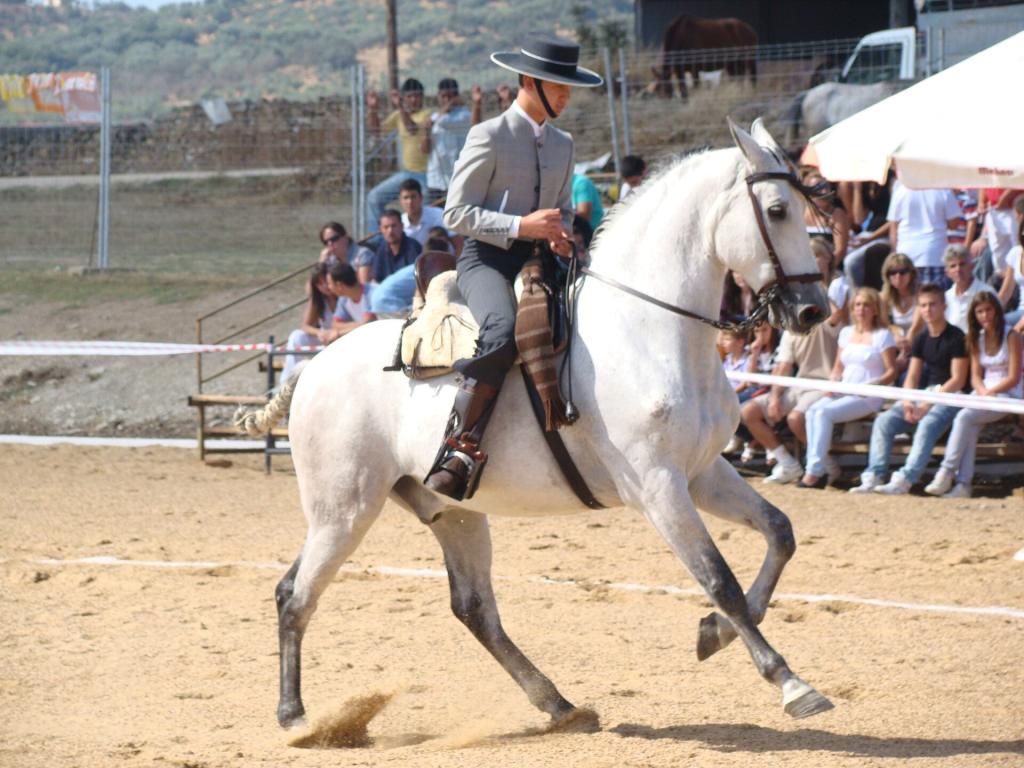 Hispano-Arabe mounted in Doma vaquera - CC BY-SA 3.0 - Fregenal01