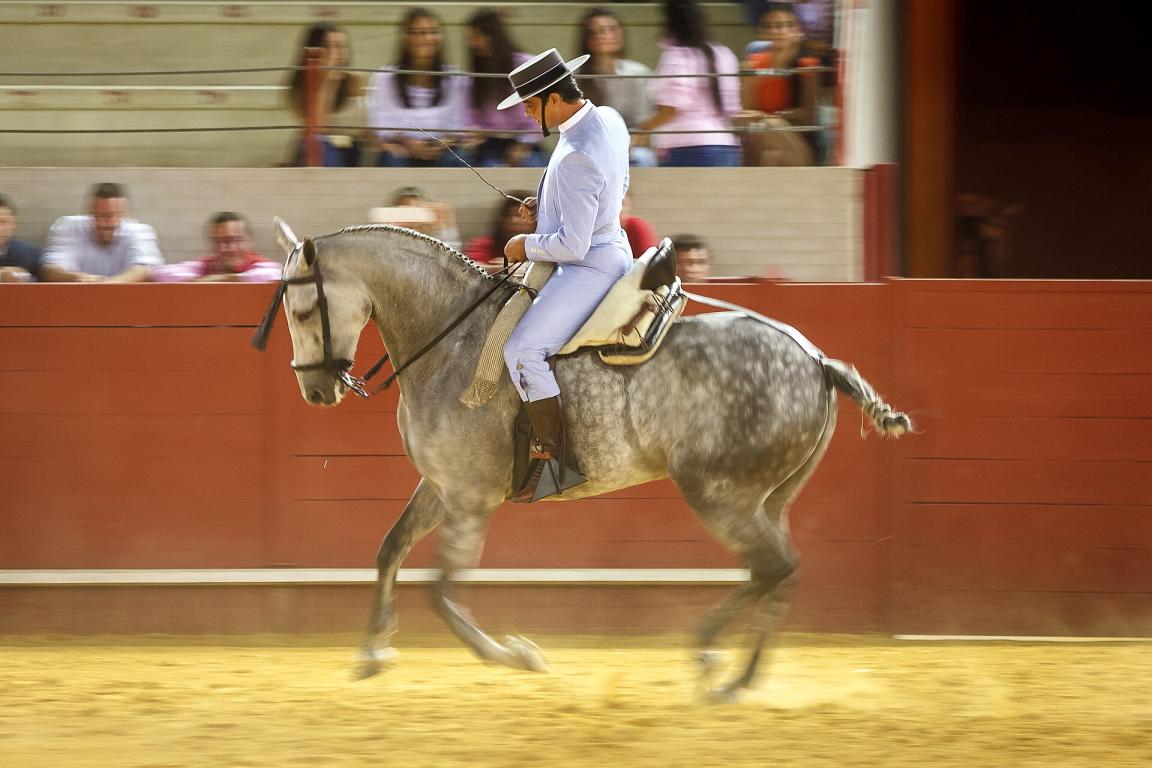 Hispano-Arabe horse mounted in Doma vaquera - CC BY-SA 2.0 - Manuel Gómez