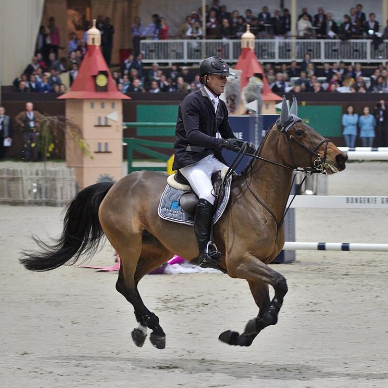  Paul Estermann and Castlefield Eclipse, ISH mare - CC BY-SA 3.0 - Clément Bucco-Lechat