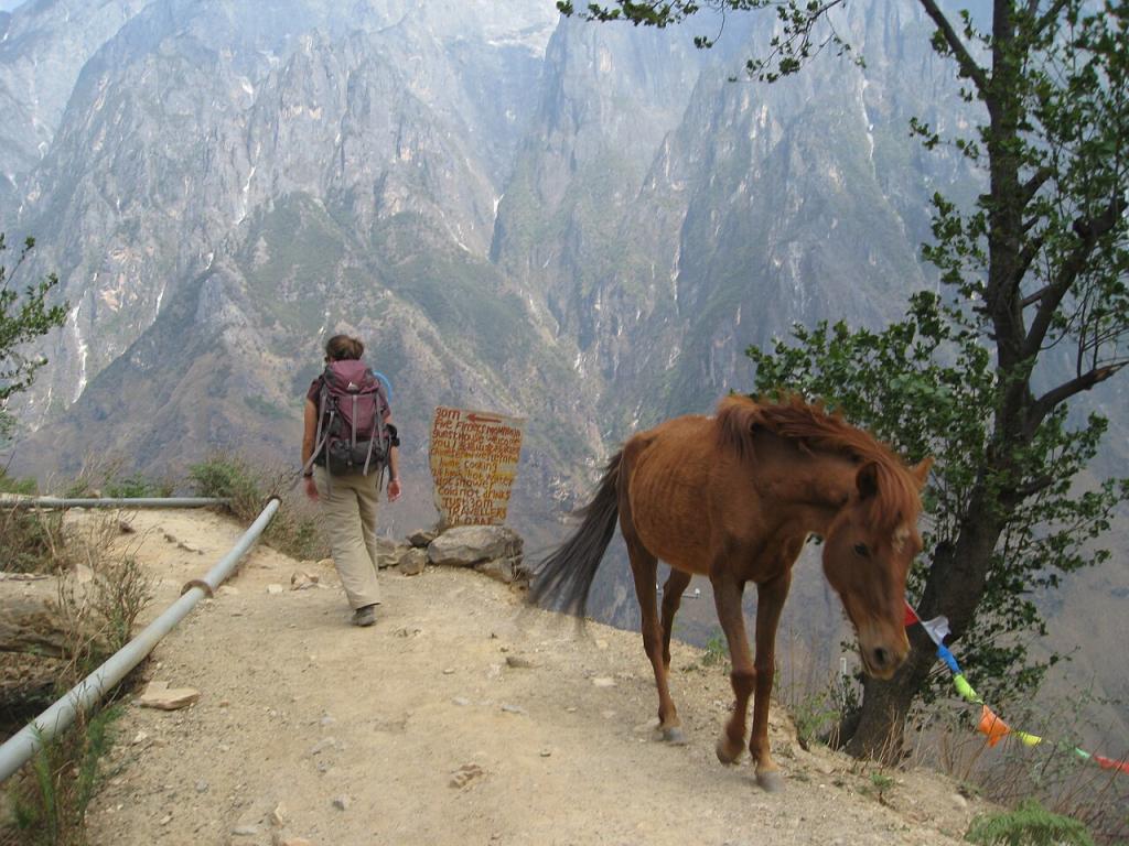 Pony Lijiang on a mountain hiking trail - CC BY 2.0 - Chris Feser