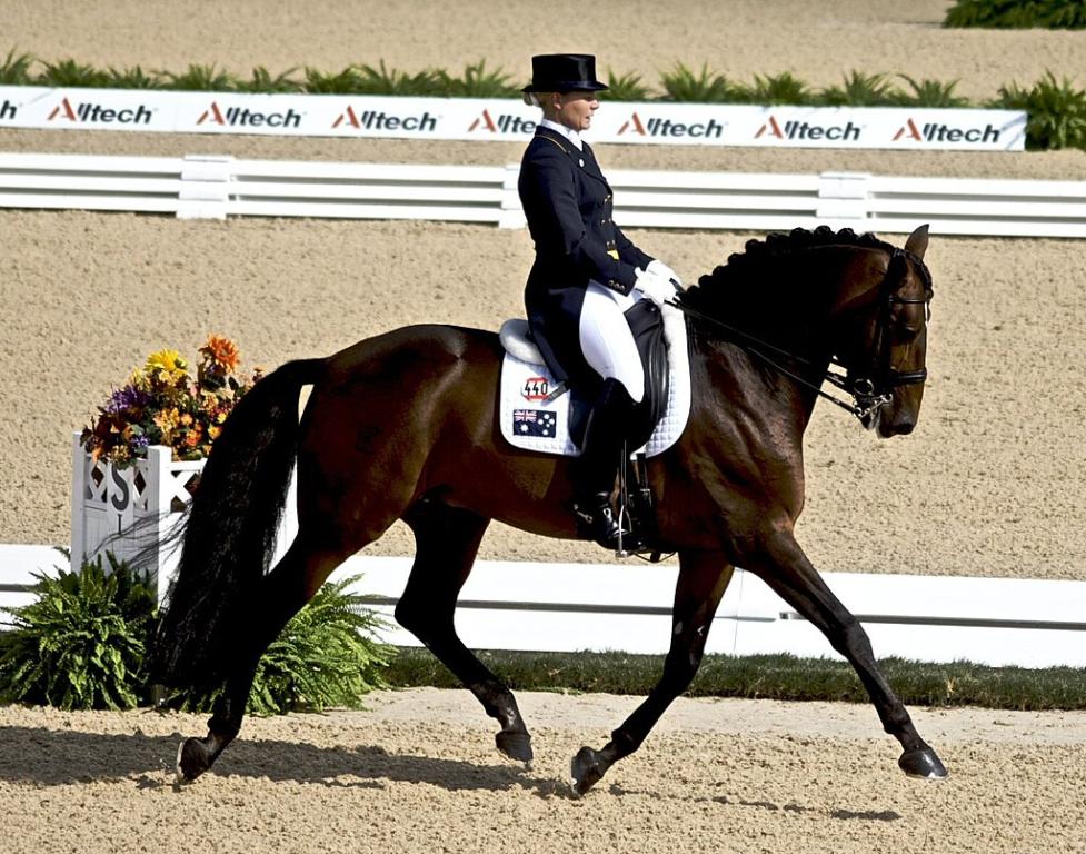Lusitano (Thoroughbred) Dressage. - CC BY 2.0 - Jean