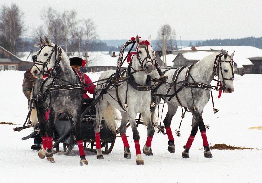 Troika demonstration in Vologda. - Public domain - Lena