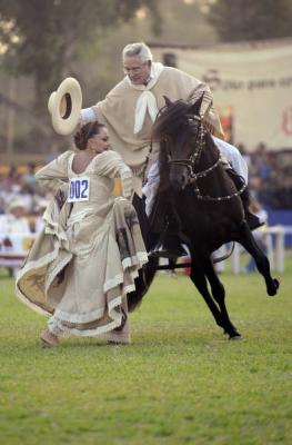 Peruvian Paso : Unique Gaited Horse and Heritage of Peru