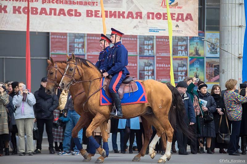 Don Horses of the Russian Mounted Police. - CC BY-SA 4.0 - Fefa Koroleva