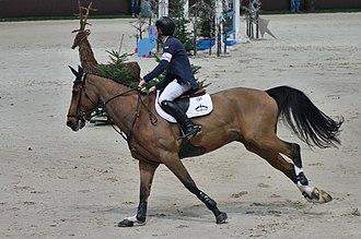 Hello Sanctos, famous sBs gelding, ridden by Scott Brash at the CHI Geneva in 2014 - Photo: Clément Bucco-Lechat