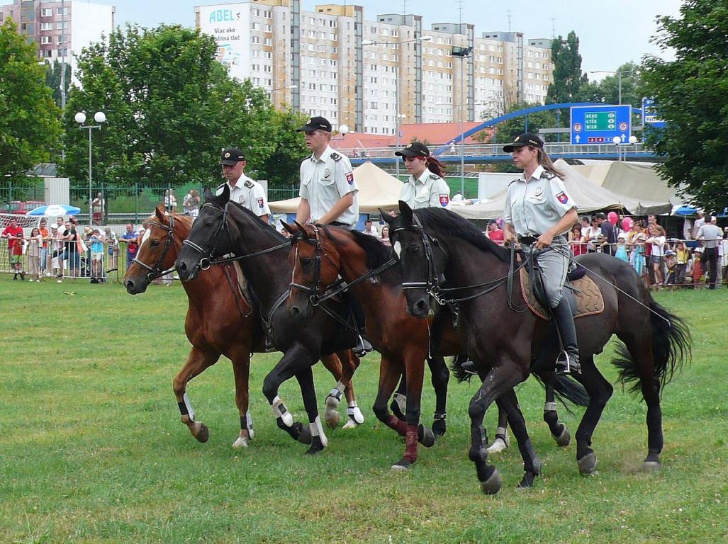 Slovak Mounted Police - CC BY 3.0 - Photo: Martin Baran