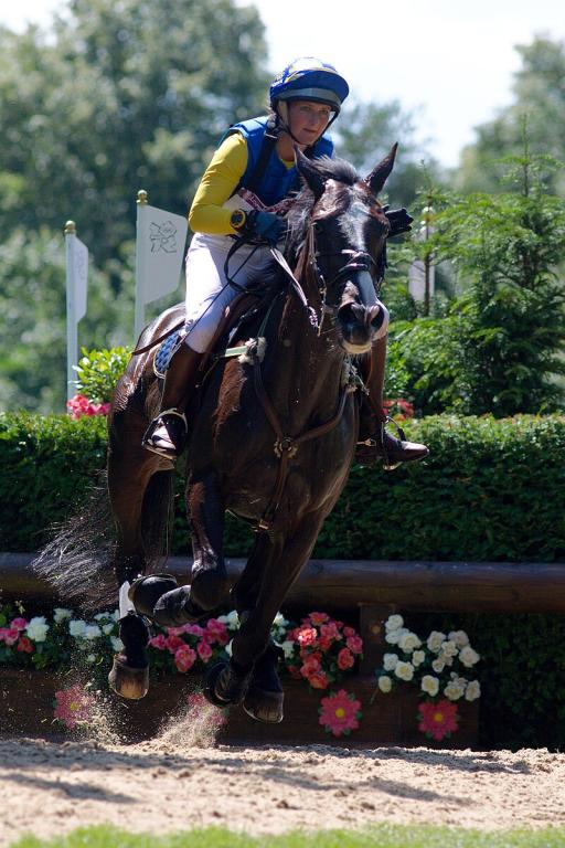 The Fair Swedish Warmblood, ridden in eventing in London in 2012. - CC BY-SA 3.0 - Henry Bucklow/Lazy Photography (Sffubs)