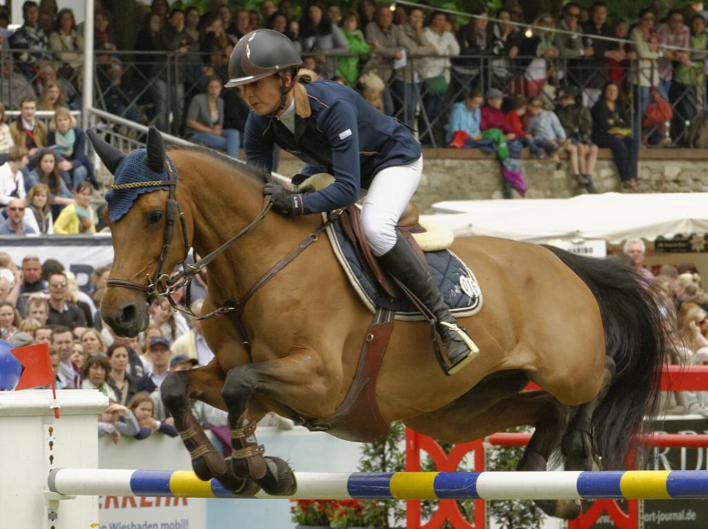 Zangersheide, Katharina Offel on B-Once Z at the Internationalen Pfingstturnier in Wiesbaden 2013. - CC BY-SA 3.0 - Michael Kramer