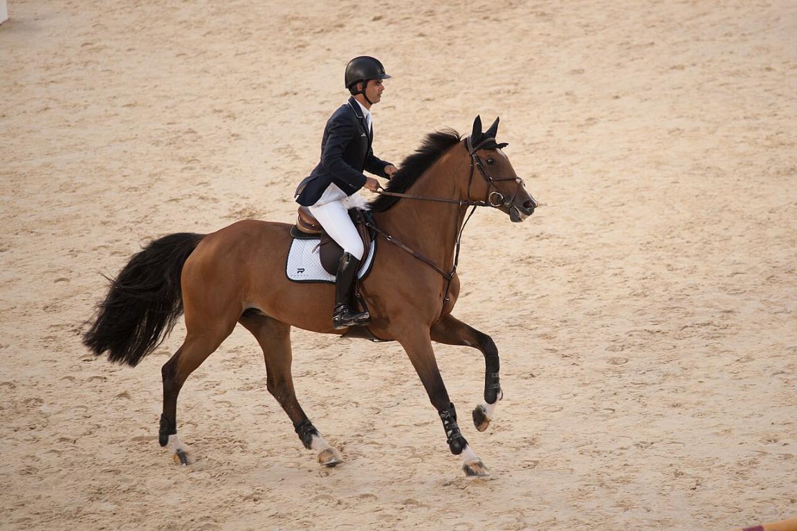 Zangersheide, Rodrigo Pessoa and Cadjanine Z. - CC BY 3.0 - Fanny Schertzer